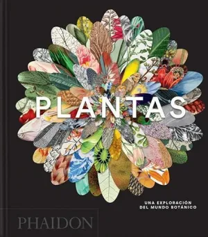 PLANTAS