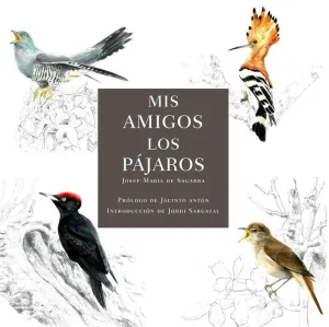 MIS AMIGOS LOS PÁJAROS