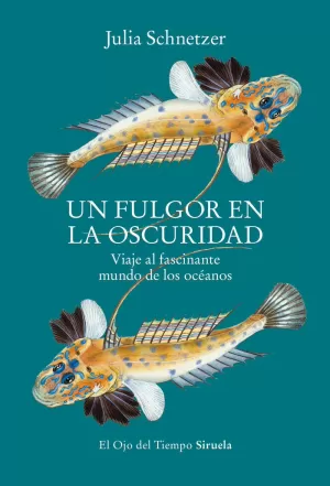 UN FULGOR EN LA OSCURIDAD UN FULGOR EN LA OSCURIDAD