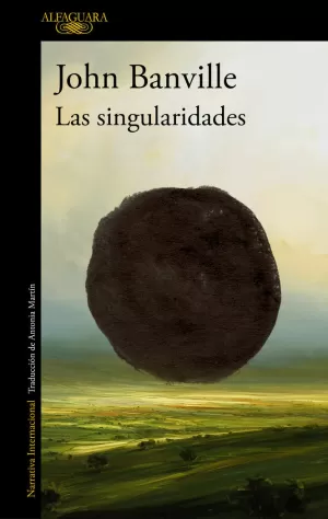 LAS SINGULARIDADES LAS SINGULARIDADES