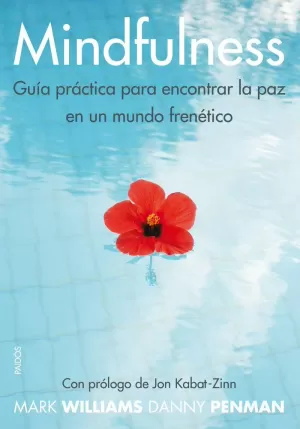 MINDFULNESS MINDFULNESS