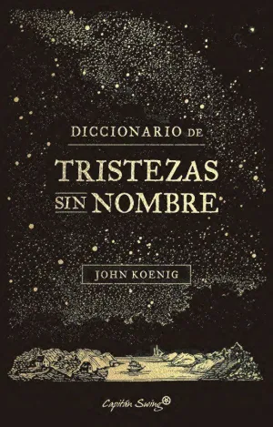 DICCIONARIO DE TRISTEZAS SIN NOMBRE